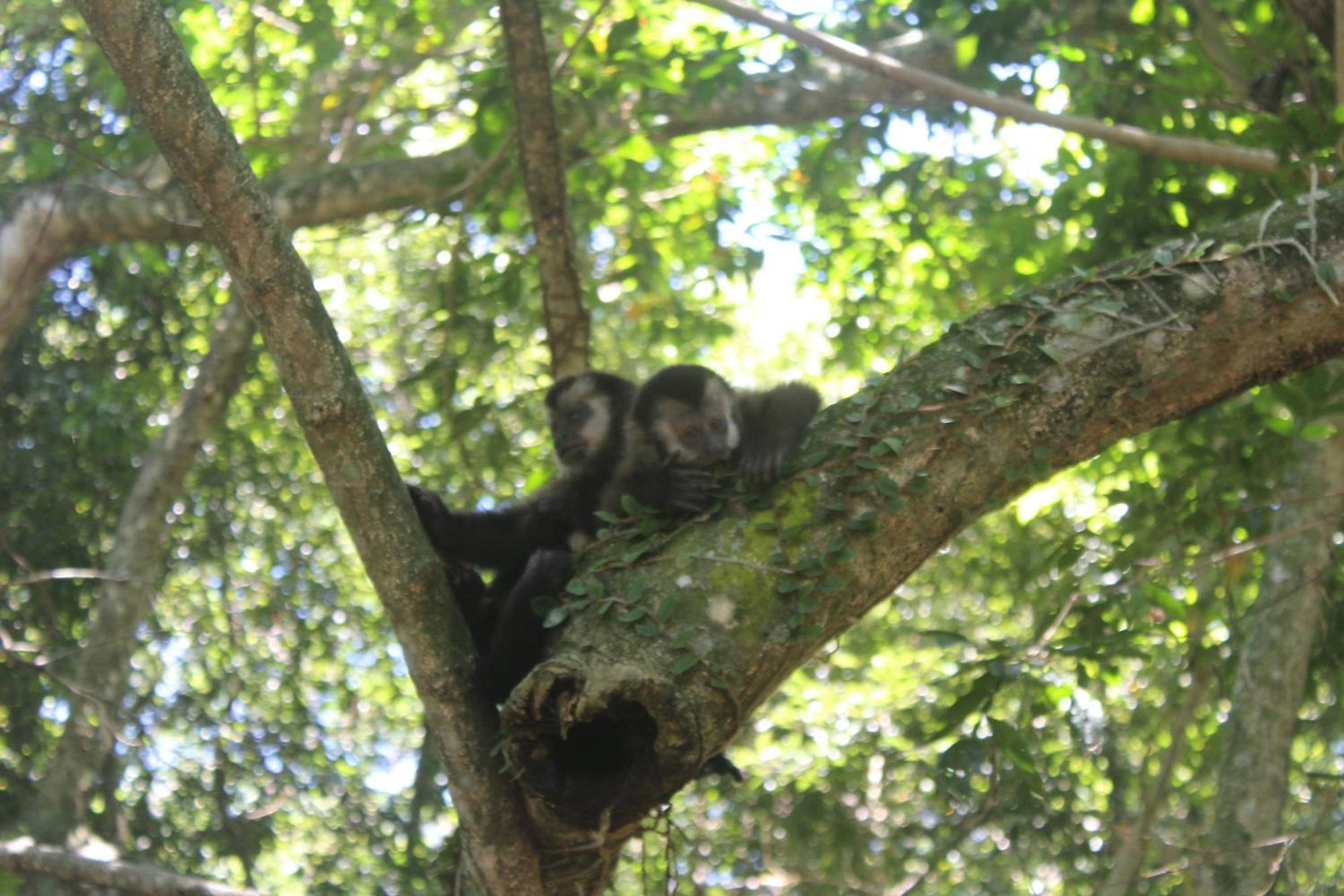 Casa de férias Amplo Refugio - Diarias E - Beira Da Lagoa *